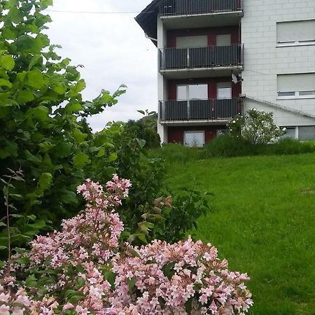 Ferienwohnung Am Eichbuehl 발드키르히 외부 사진