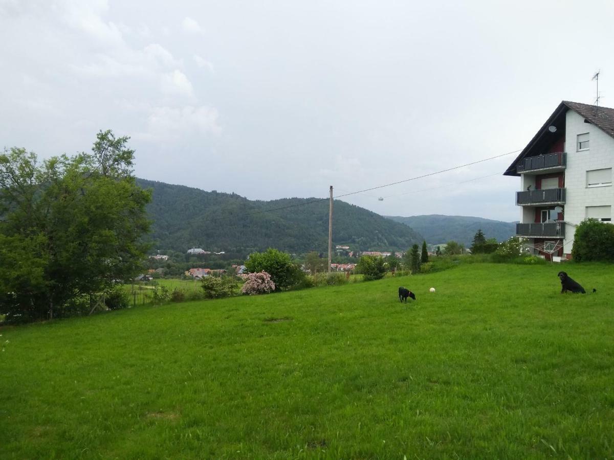 Ferienwohnung Am Eichbuehl 발드키르히 외부 사진